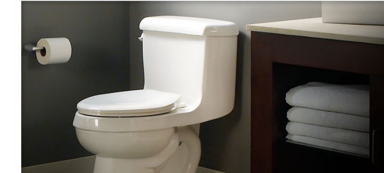 One piece toilet with dark wood vanity unit