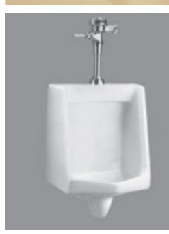 Wall mounted urinal with flush valve